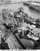 USS Indianapolis (CA-35) (31)